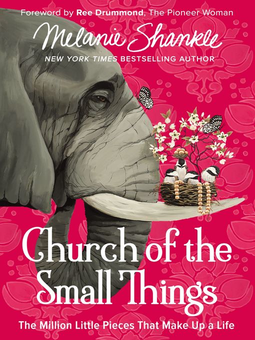 Cover image for Church of the Small Things